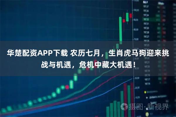 华楚配资APP下载 农历七月，生肖虎马狗迎来挑战与机遇，危机中藏大机遇！