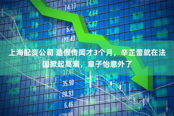 上海配资公司 造假传闻才3个月，辛芷蕾就在法国掀起高潮，章子怡意外了